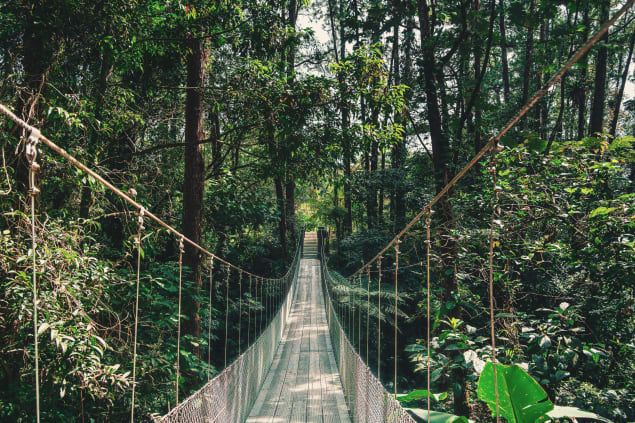 Ponte sospeso nel Parco Arenal